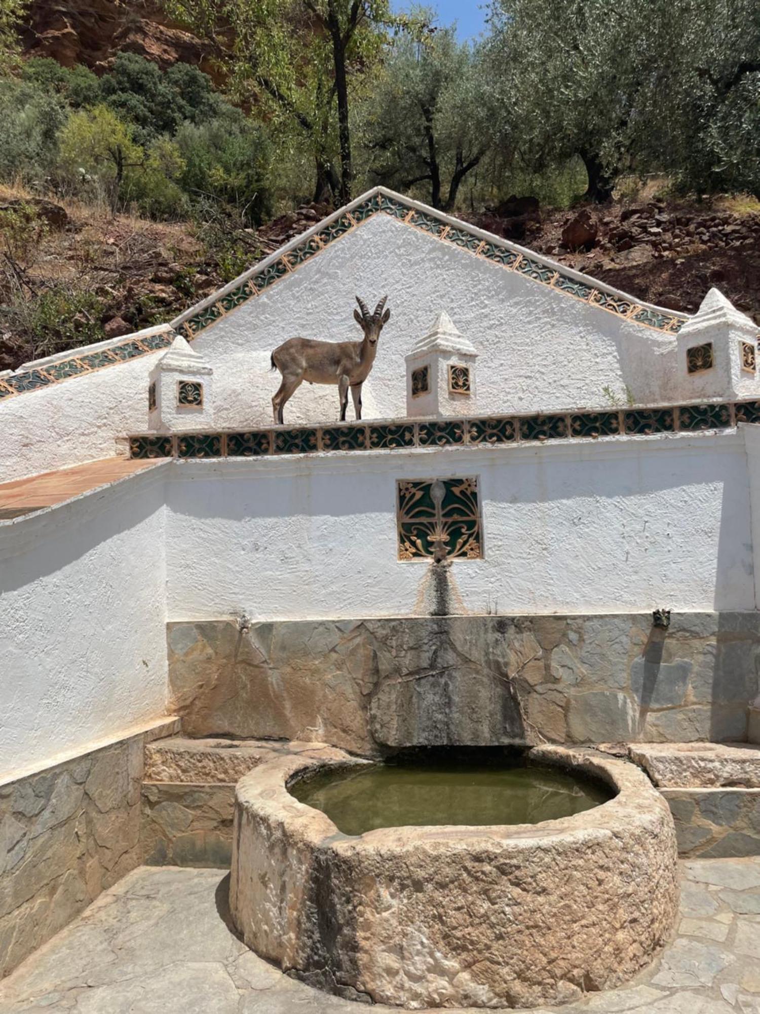Viva Espana Comares エクステリア 写真